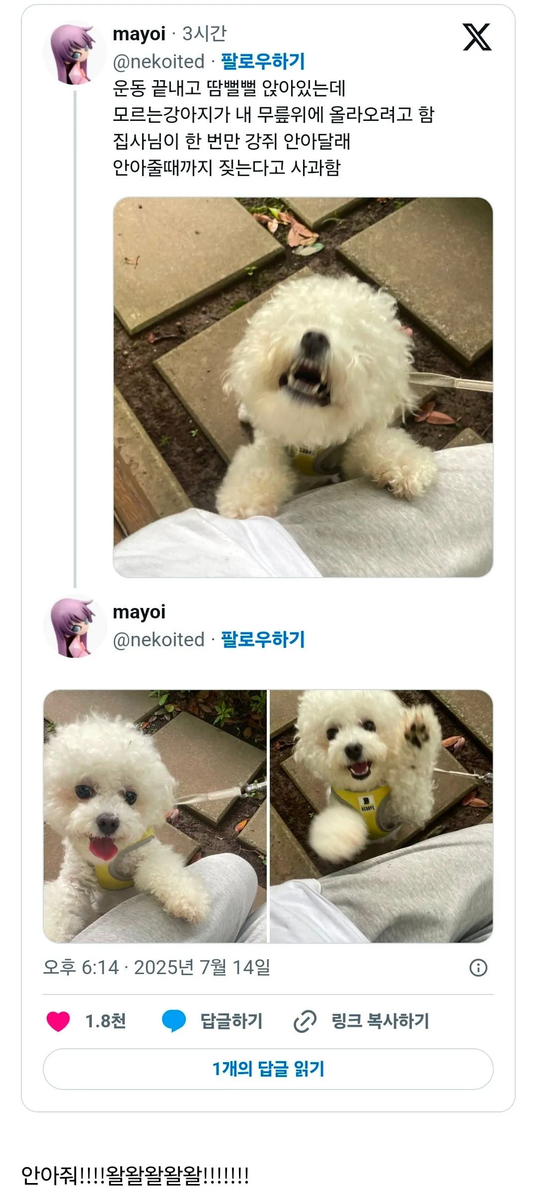 산책중에 돌발 이벤트가 터진 사람.jpg