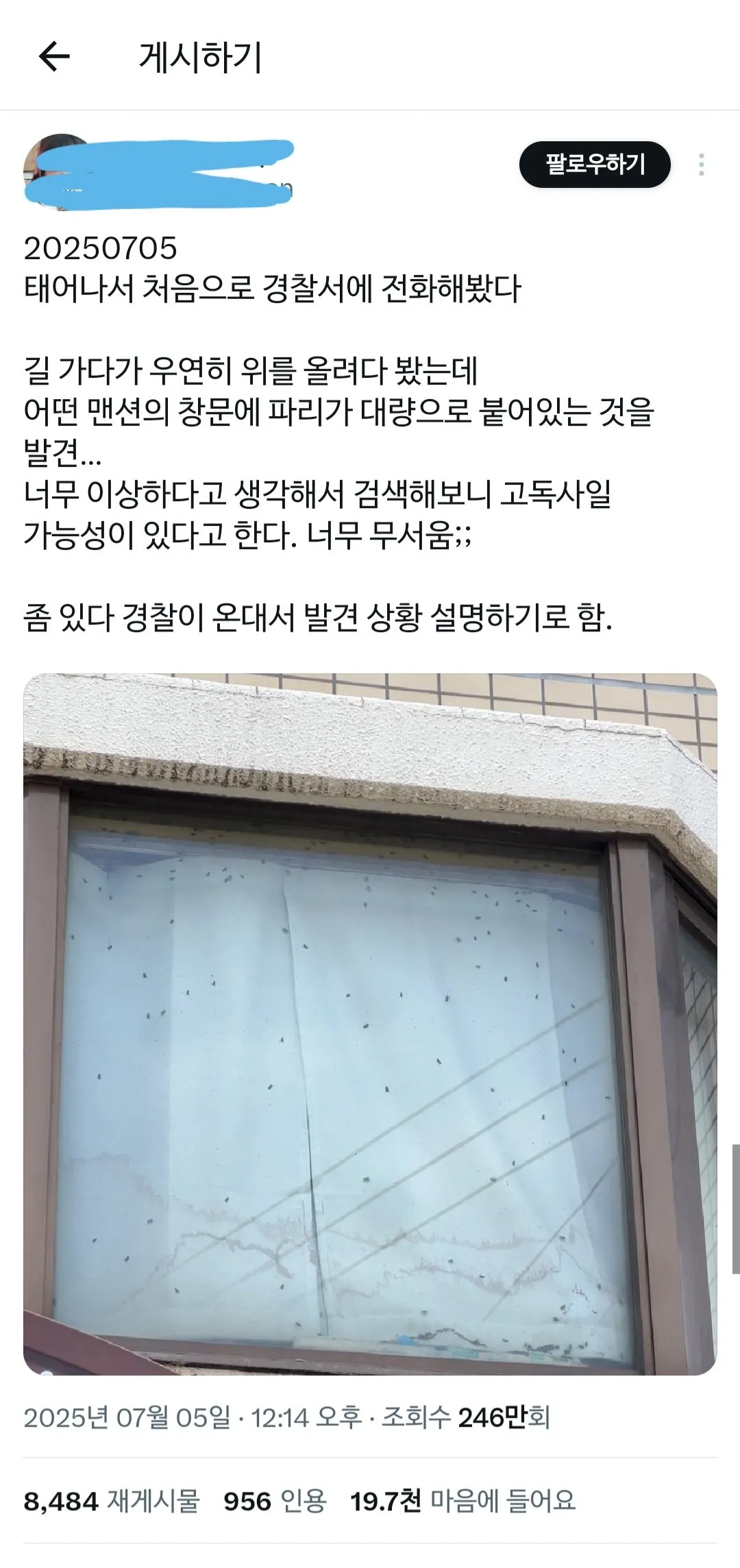 창문에 파리가 너무 많아서 경찰에 신고한 사람