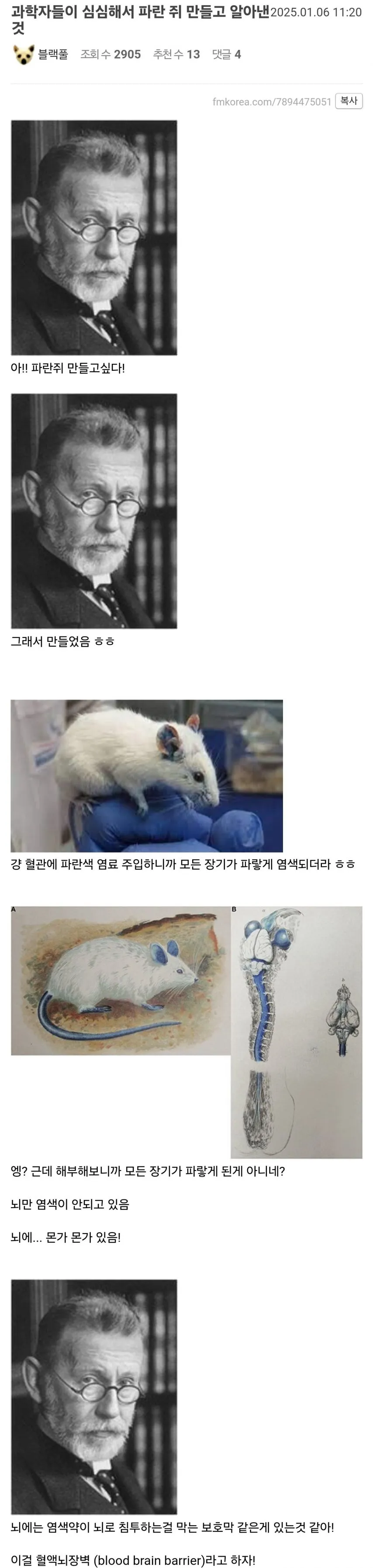 과학자들이 파란쥐 실험하다 알아낸 것