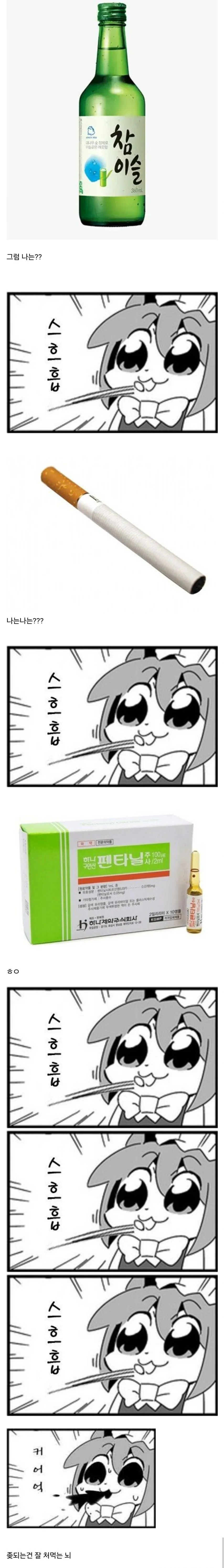 과학자들이 파란쥐 실험하다 알아낸 것