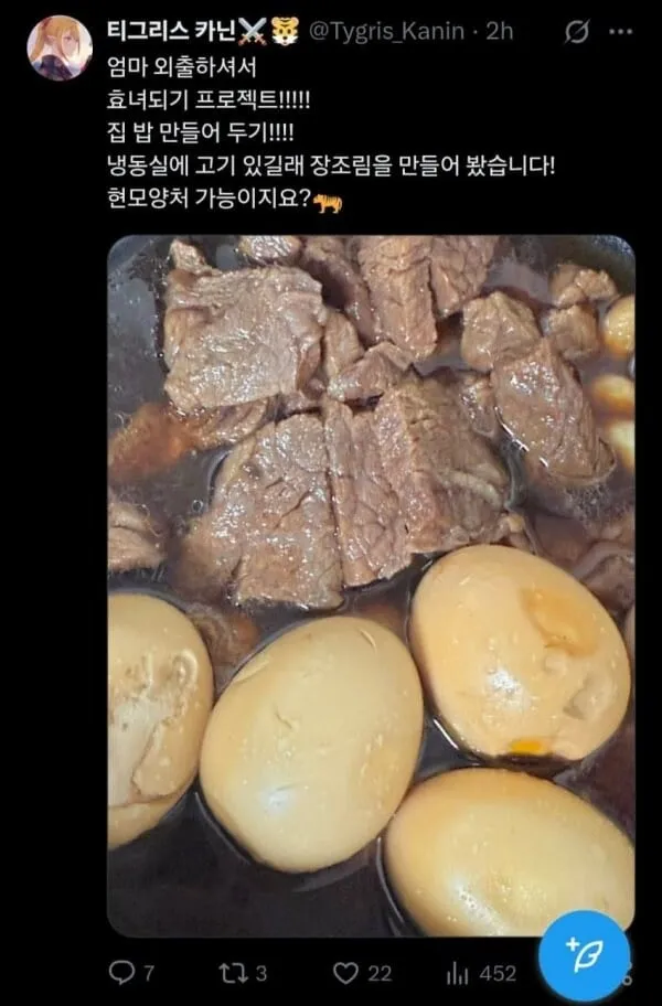 효녀가 되려했던 버튜버