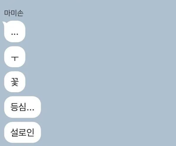 효녀가 되려했던 버튜버