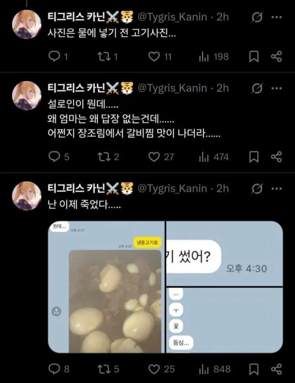 효녀가 되려했던 버튜버