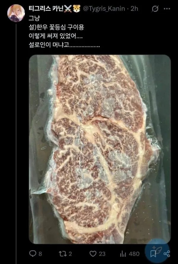 효녀가 되려했던 버튜버