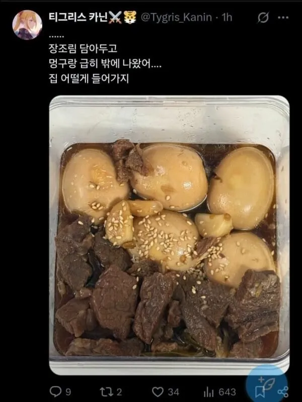효녀가 되려했던 버튜버