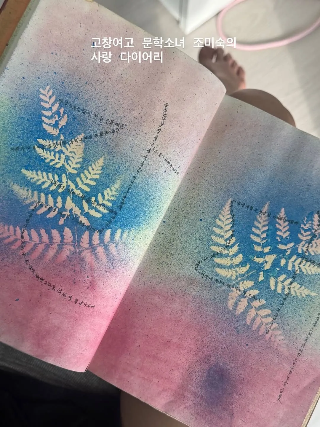 사랑에 빠진 고창여고 문학소녀 고미숙양의 다이어리