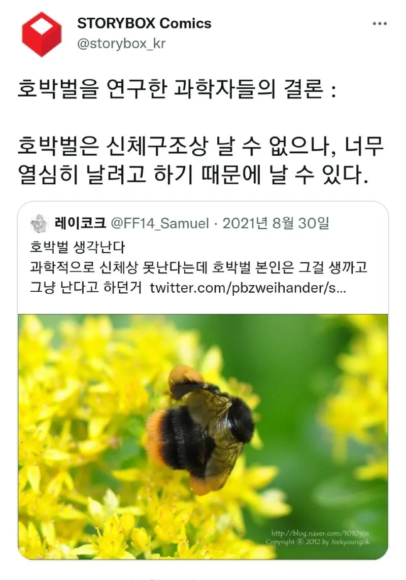 곤충들 중 귀여움류 1티어