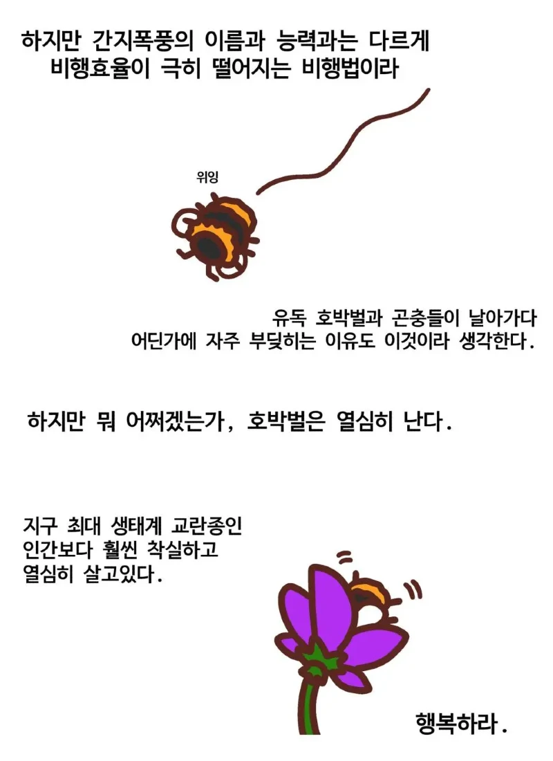 곤충들 중 귀여움류 1티어