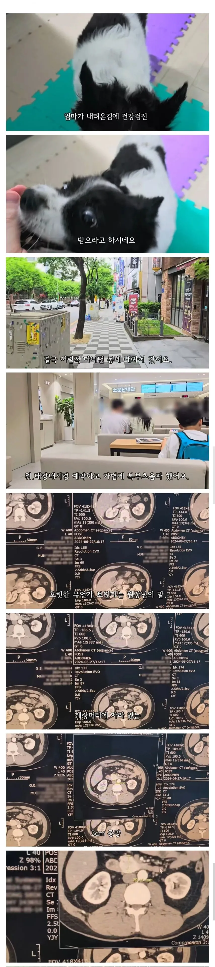 엄마 덕분에 췌장암 찾은 유튜버