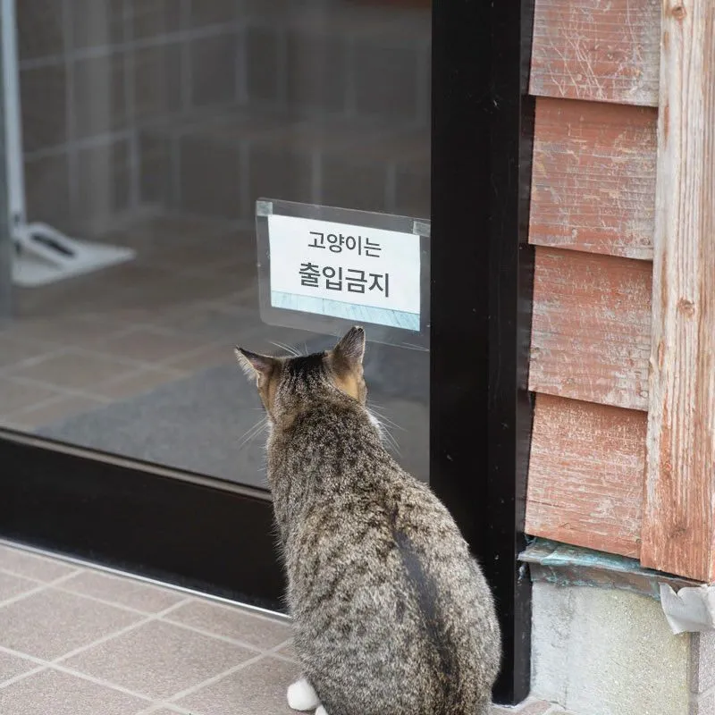 너넨 출입금지다 이말이야