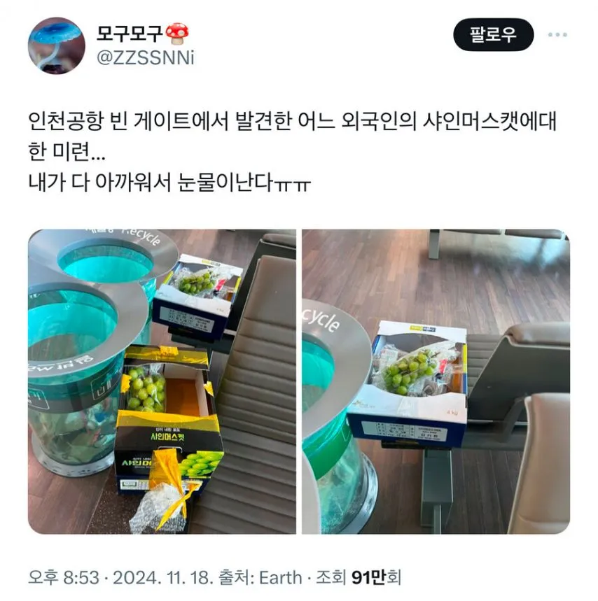 인천 공항 빈 게이트에서 발견된 외국인의 샤인 머스캣.jpg