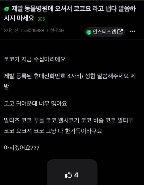 제발 동물병원에 오셔서 코코요 라고 냅다 말씀하시지 마세요