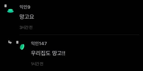 제발 동물병원에 오셔서 코코요 라고 냅다 말씀하시지 마세요