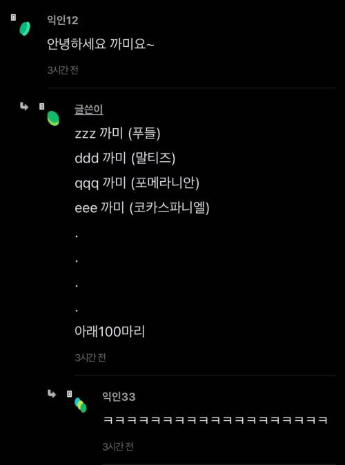 제발 동물병원에 오셔서 코코요 라고 냅다 말씀하시지 마세요
