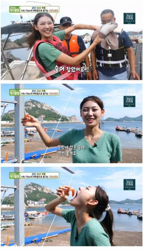 촬영중 자연산 숭어 득템한 리포터의 먹방.mp4