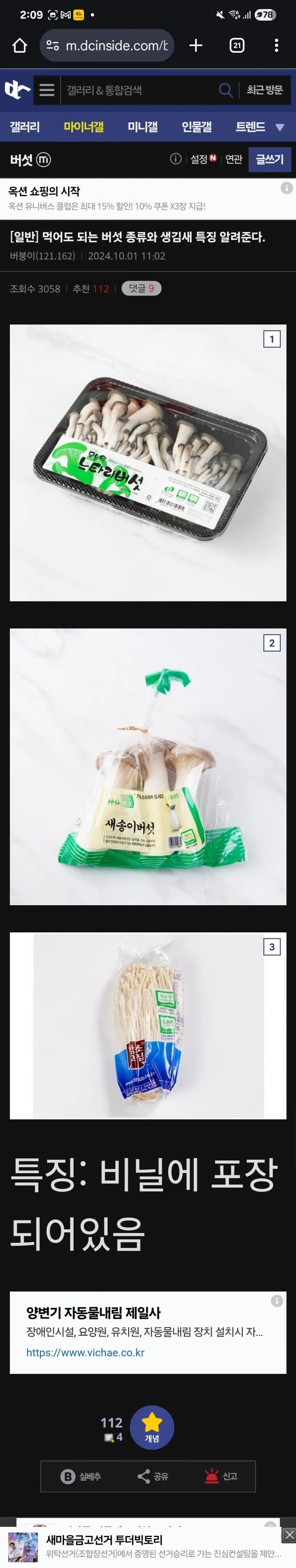 버섯갤에서 알려주는 식용 버섯