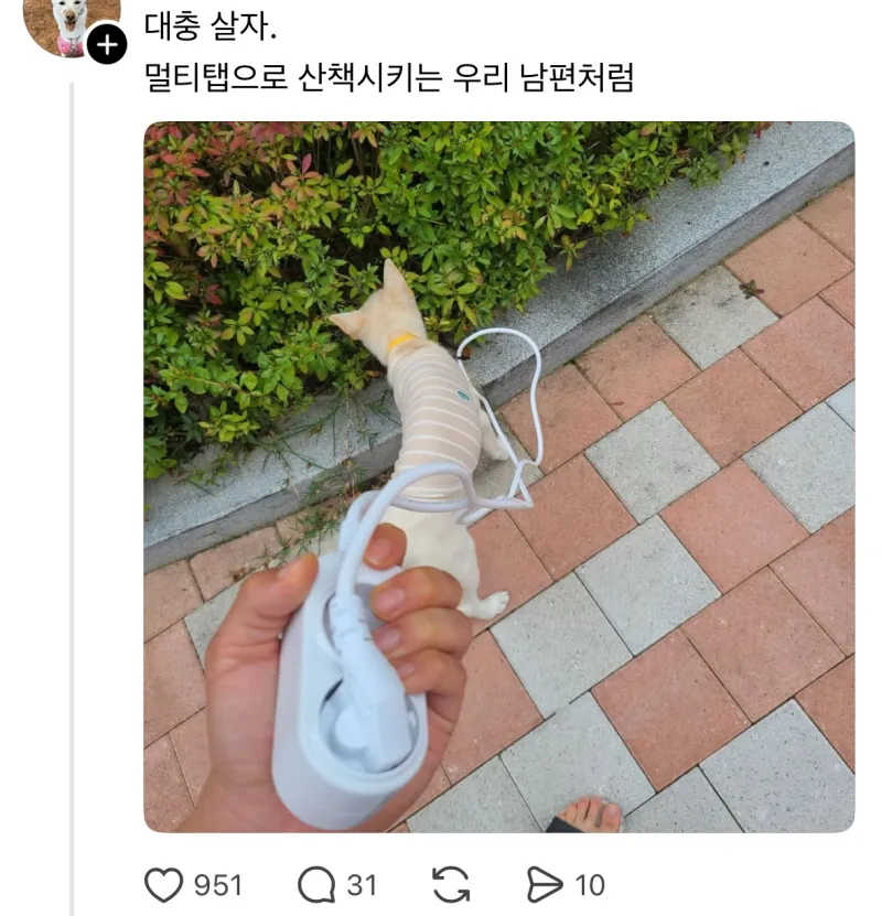대충 살자~!