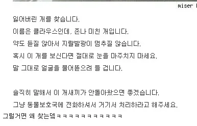 잃어버린 개를 찾습니다.