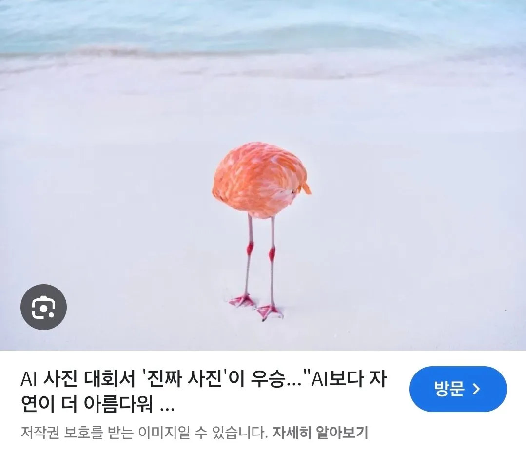 제발 형식에 맞는 작품을 제출해주십시오.