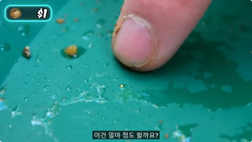 연봉 1달러 직업