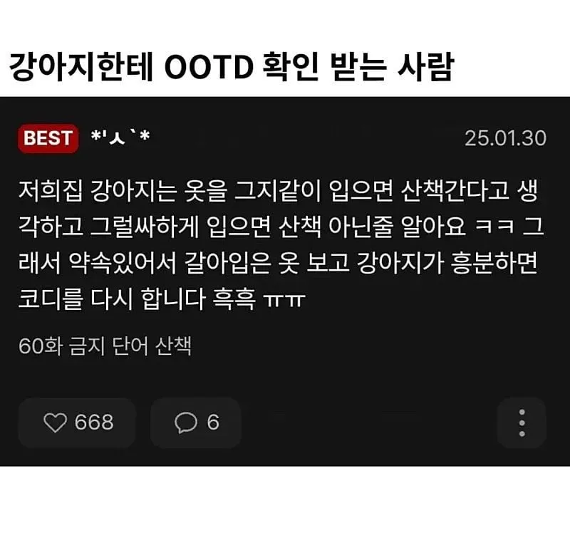 강아지에게 외출 복장 검사받는 사람.jpg