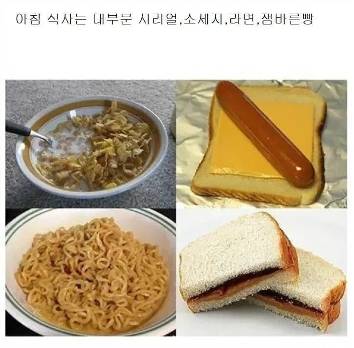 미국 하류층의 삶