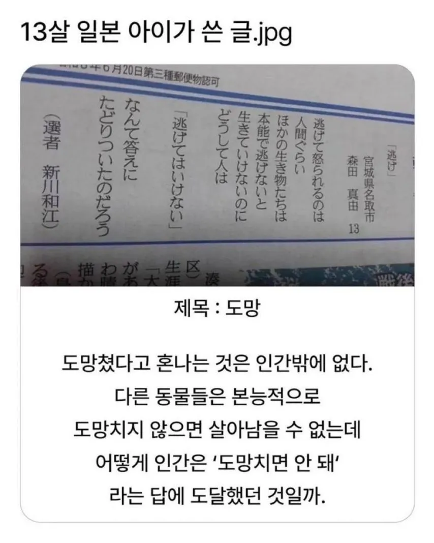 13살 일본 아이의 글