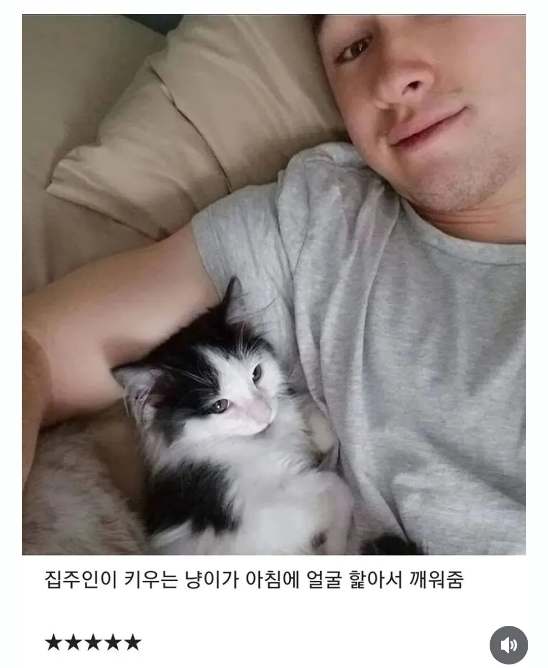 에어비앤비 숙소 별점 5점 준 이유..jpg