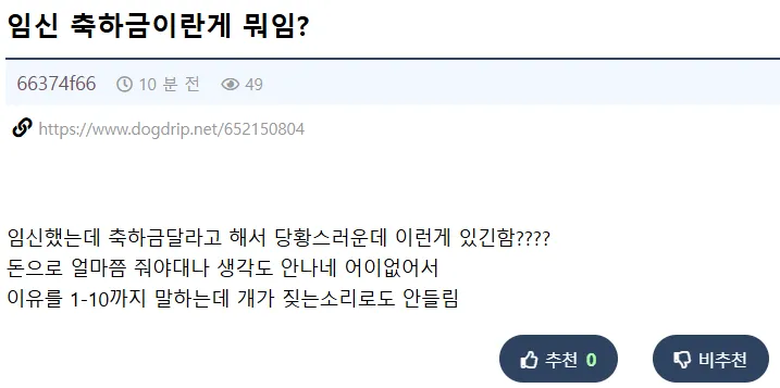 임신 축하금이라는게 뭐임?