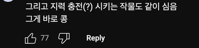 북한🇰🇵은 이 곡물을 심다가 망했다