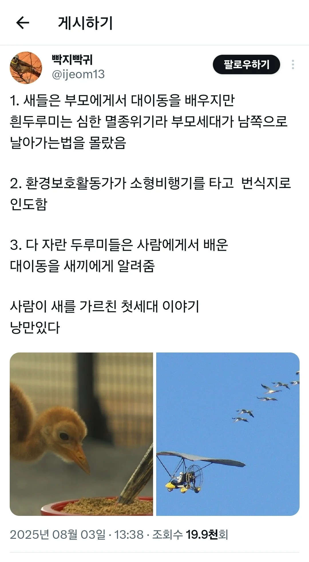 💖 인간이 부모역할 해준 두루미