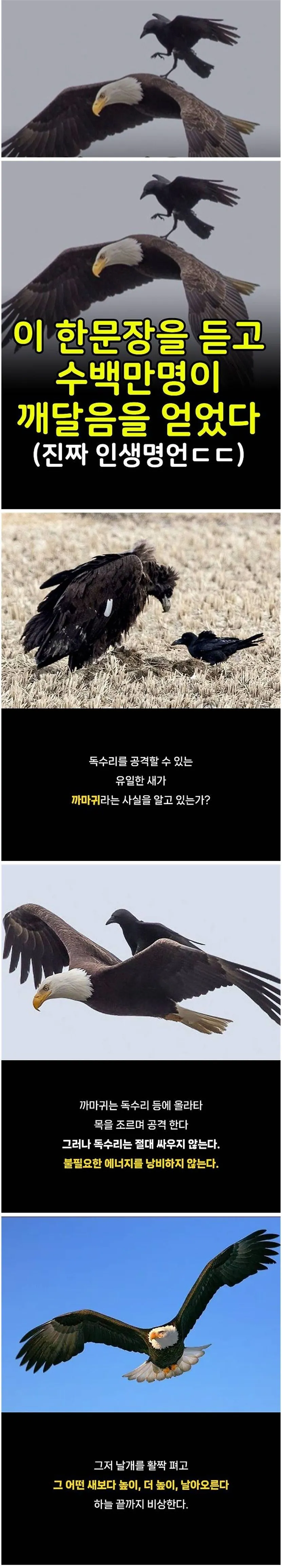 이 한문장을 듣고 수백만명이 깨달음을 얻었다.
