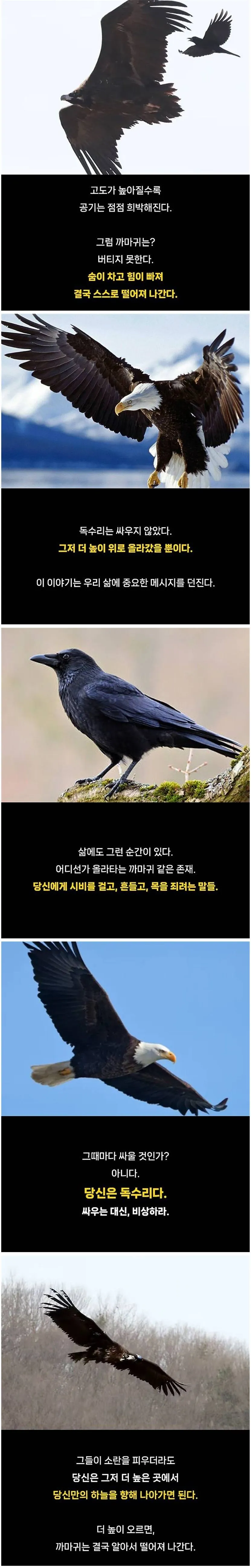 이 한문장을 듣고 수백만명이 깨달음을 얻었다.