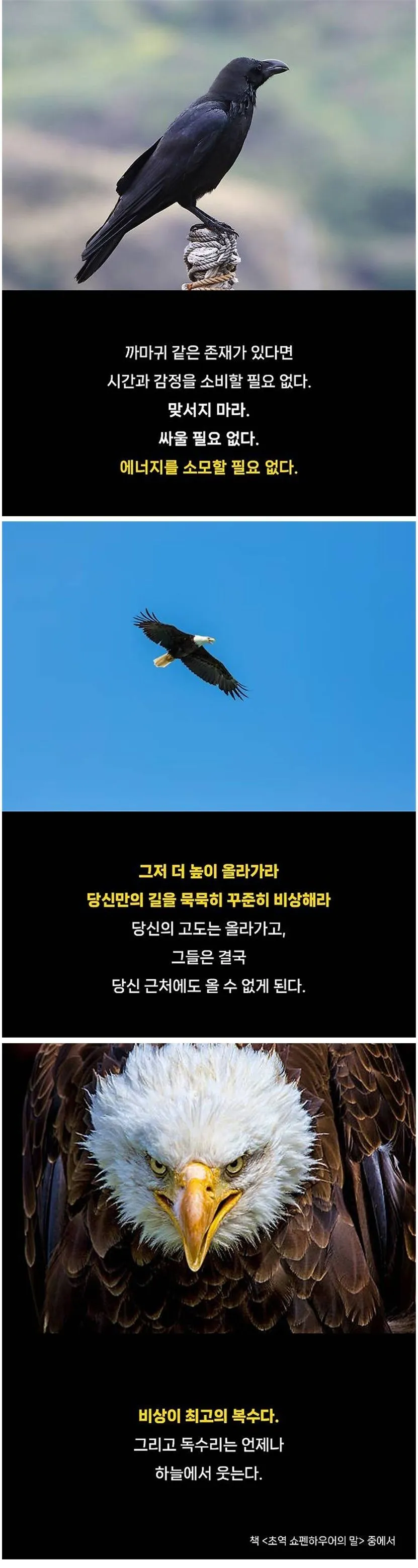 이 한문장을 듣고 수백만명이 깨달음을 얻었다.