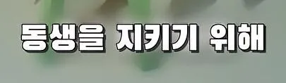 부모님 몰래 여동생을 창고로 데려 가려는 오빠