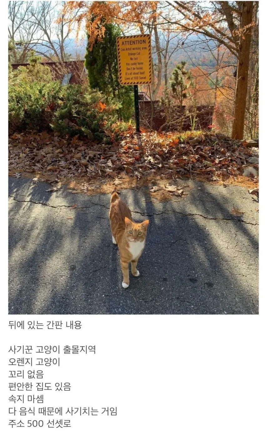상습묘 출몰 주의 구간.