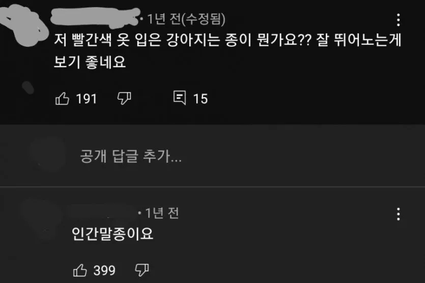 저 빨간 옷 입은 강아지는 종이 뭔가요  잘 뛰어노는 게 보기 좋네요