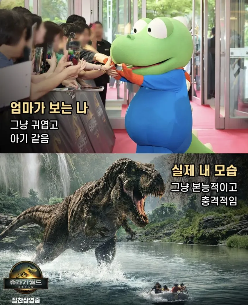 엄마가 보는 나 vs 실제 나