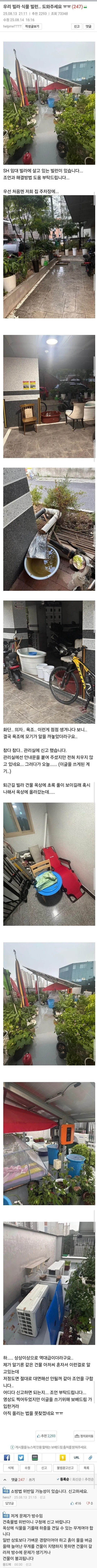 SH 임대 빌라의 식물빌런.jpg