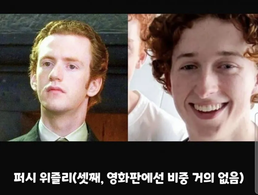 HBO 해리포터에서 최근 캐스팅 된 위즐리남매