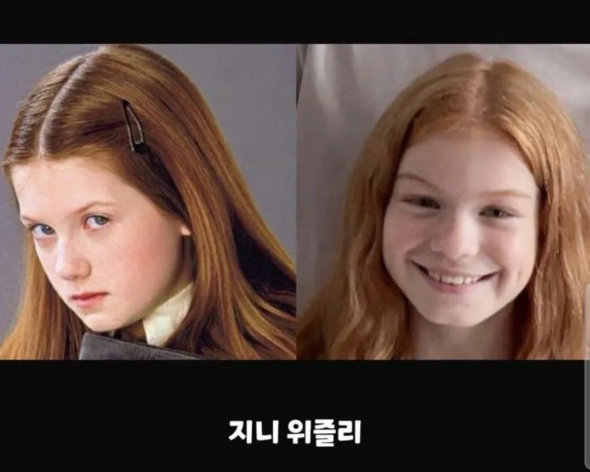 HBO 해리포터에서 최근 캐스팅 된 위즐리남매