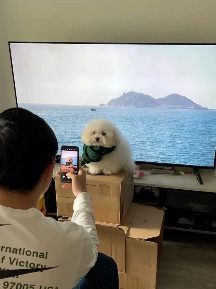 사진 주작질 현장 공개