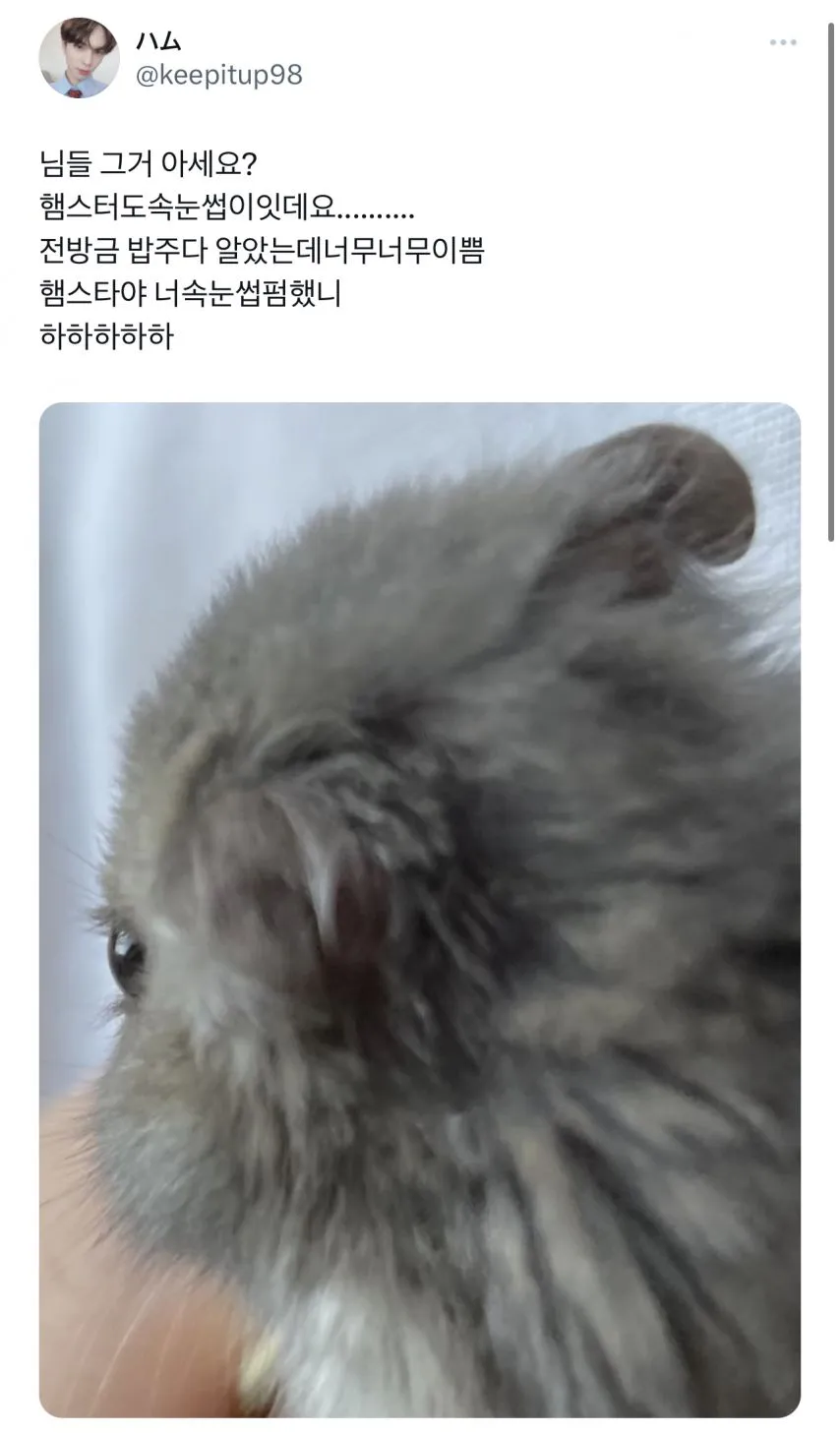 햄스터 눈썹