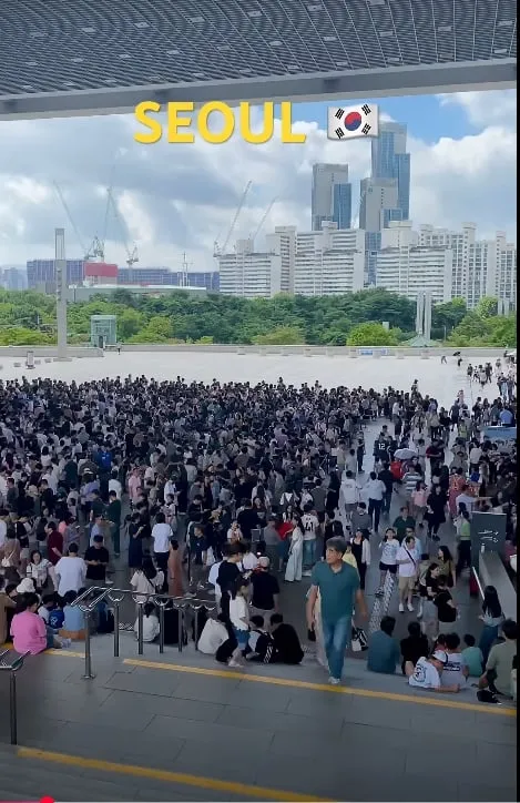 국립중앙박물관 9시 30분 오픈런