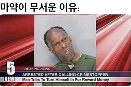 마약이 무서운 이유.jpg