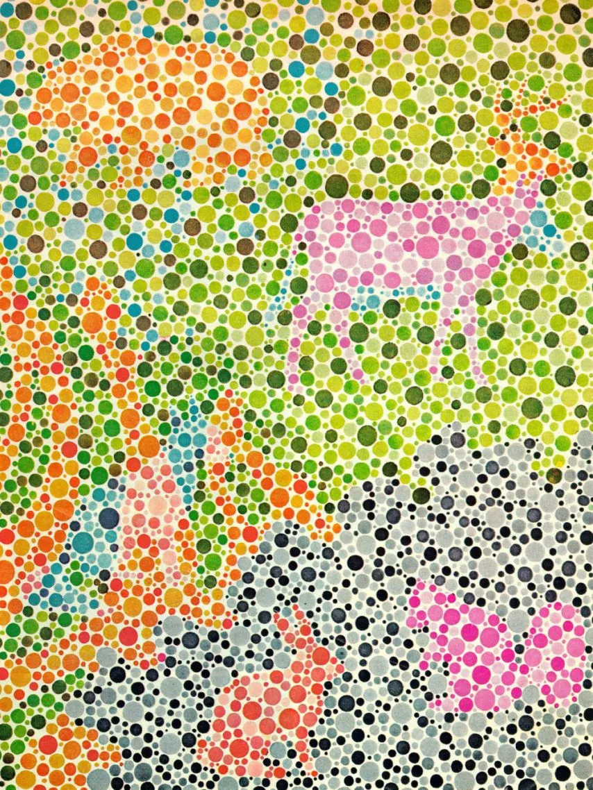 색약/색맹만 찾을 수 있다는 동물 그림
