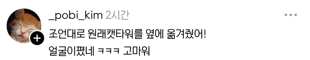 애착 캣타워를 잃었다가 다시 찾은 냥이