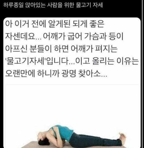 가슴과 등이 펴지는 자세 작성시간