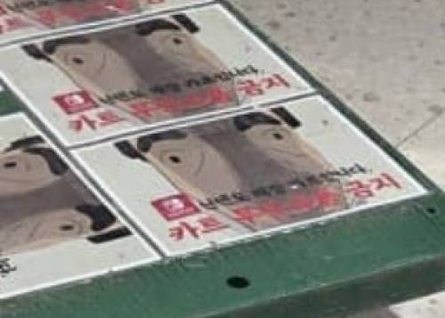용산 닌텐도샵 근황