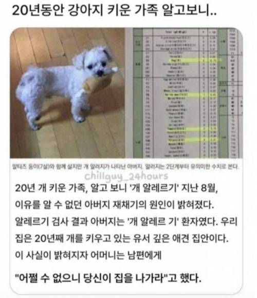 20년간 애완견 키운 가족의 반전